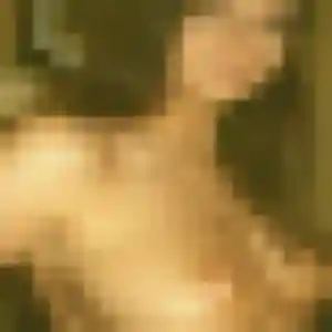 Photo perso de Charlotte, 42 ans à Biganos - rencontre sans lendemain