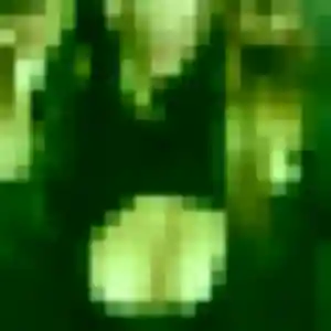 Profil de Fleur à Biol (26 ans) - plan cul anonyme