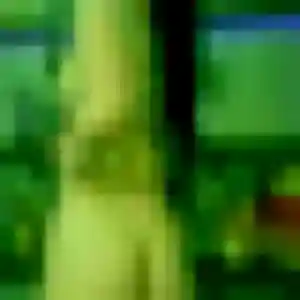 Rencontre Angelique, 25 ans à Bischwiller gratuitement