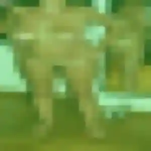 Sexy Harmony, 44 ans à Blausasc - la contacter