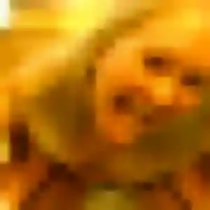 Photo de Camille à Bois-Guillaume (24 ans) - plan cul discret