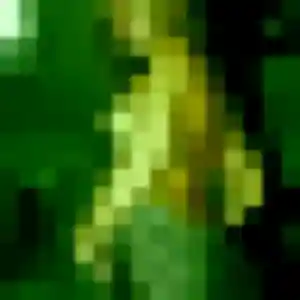 Rencontre Helena, 34 ans à Bois-Guillaume en privé