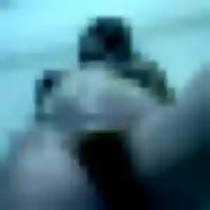 Photo sexy de Camille, 43 ans à Boismé - rencontre coquine