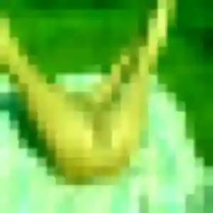 plan cul à Bondoufle : profil de Vanessa, 45 ans - accès libre