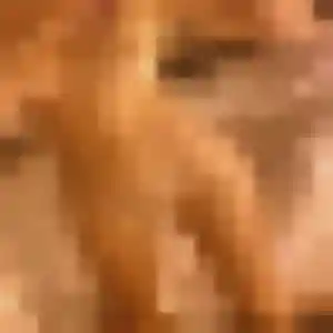 Photo sexy de Melanie, 31 ans à Bougival - rencontre sans lendemain