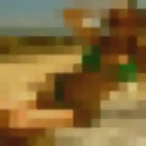 plan cul à Bouguenais : profil de Idalina, 42 ans - sans engagement