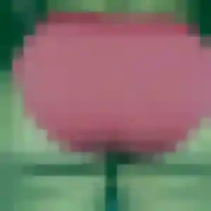 Alienor (35 ans) à Bouloc propose une rencontre ce soir