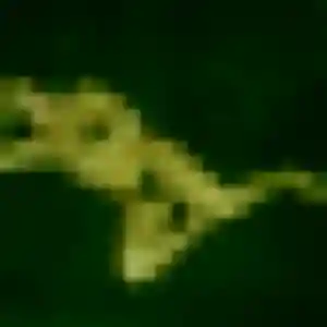 plan cul à Bouvignies : profil de Ibtissam, 34 ans - sans engagement