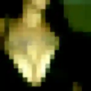 Hermine, 44 ans, cherche un plan cul à Brachy