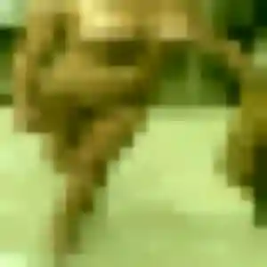 Photo perso de Morgane, 35 ans à Branoux-les-Taillades - rencontre sans lendemain