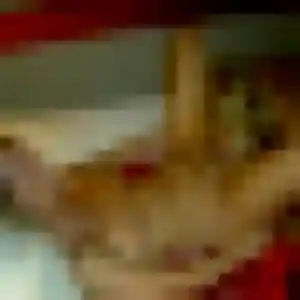 Photo de Bianca à Brassy (33 ans) - plan cul discret