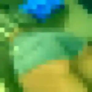 Photo exclusive de Janine, 40 ans à Bréau-Mars - rencontre sans lendemain