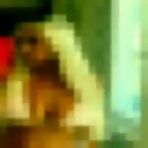 Rejoins Tessa, 30 ans à Bretenière gratuitement