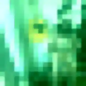 Profil de Lamia à Breuillet (27 ans) - plan cul gratuit