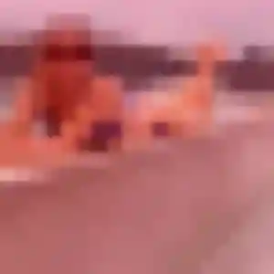 Photo de Bettina à Briennon (26 ans) - plan cul discret