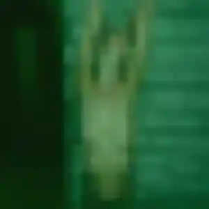 Sexy Mila, 22 ans à Brimeux - voir sa photo
