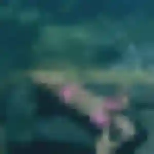 plan cul à Bruley : profil de Marion, 37 ans - accès libre