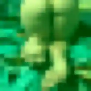 Veronique, 23 ans, cherche un plan cul à Busnes