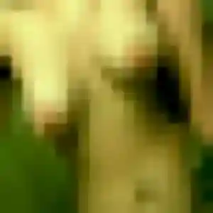 Delice, femme de 40 ans cherche plan cul à Bussac-Forêt