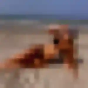 Contacte Djamila, 26 ans à Cabris gratuitement