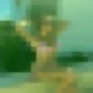 Vicky, 25 ans, disponible à Cahors pour une rencontre coquine