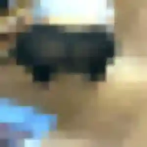 Capucine, femme de 36 ans veut plan cul à Caluire-et-Cuire