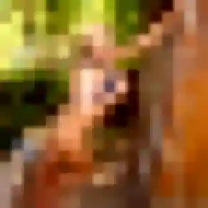 Jolie Tessa, 37 ans à Camarès - la contacter