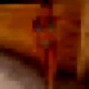 Découvre Constance, 43 ans à Caraman en t'inscrivant