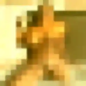 Contacte Touria, 30 ans à Cassel gratuitement