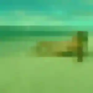 Chiara, fille de 42 ans cherche plan cul à Catillon-sur-Sambre