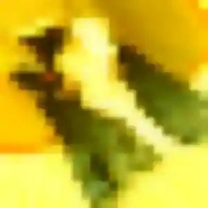 Ameline, fille de 29 ans veut plan cul à Caujac