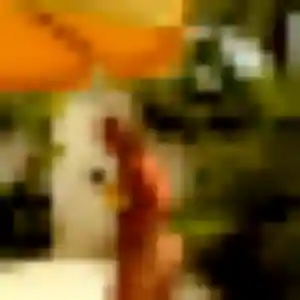 Photo privée de Rania, 44 ans à Caussens - rencontre coquine