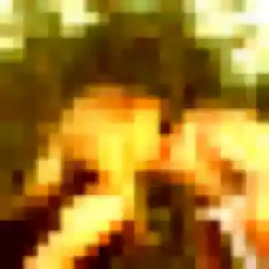 Photo sexy de Sara, 36 ans à Cesson-Sévigné - rencontre coquine