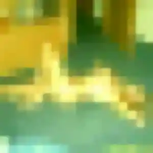 Rejoins Coralie, 35 ans à Chalain-d'Uzore gratuitement