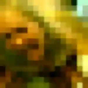 Photo privée de Marie-Cecile, 34 ans à Challans - plan discret