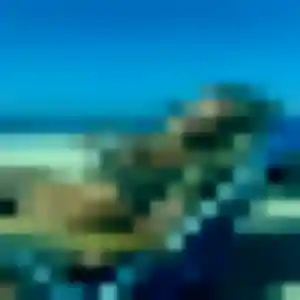 Profil de Alienor à Châlons-en-Champagne (44 ans) - plan cul discret