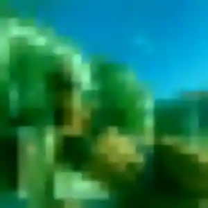 Profil de Geneve à Champdôtre (27 ans) - plan cul anonyme