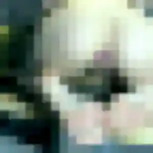 Sexy Yasmina, 40 ans à Champis - voir sa photo