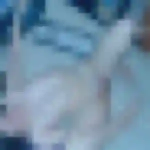Raphaelle, 40 ans, cherche un plan cul à Changé