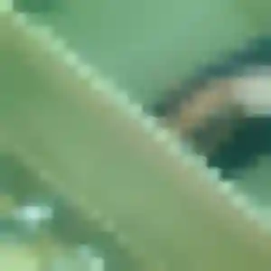 Natacha, femme de 32 ans veut plan cul à Chaource