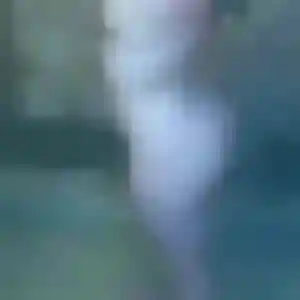 Constance (40 ans) à Charavines propose une rencontre maintenant