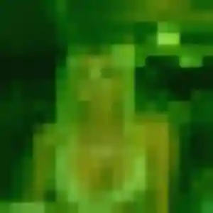 Profil de Sylviane à Charbonnières-les-Vieilles (42 ans) - plan cul discret