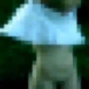 Rencontre Albane, 23 ans à Charencey en privé