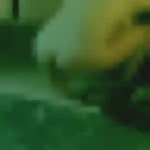 Xaviere, 45 ans, cherche un plan cul à Charentilly