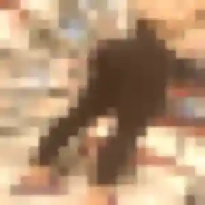 Photo de Josephine à Chasteaux (43 ans) - plan cul gratuit