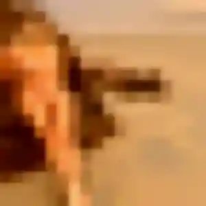 Photo de Sofia à Chémery (32 ans) - plan cul discret