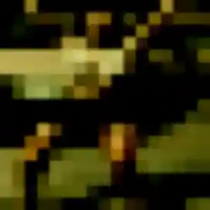 Découvre Amandine, 33 ans à Chenières en t'inscrivant