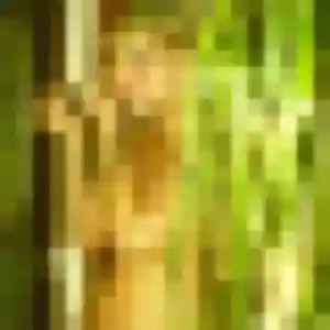 Fabienne (36 ans) à Chepniers cherche un plan cul ce soir