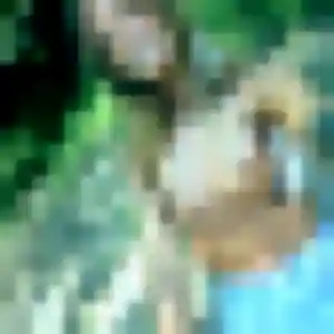 Photo de Brigitte à Chilly (44 ans) - plan cul discret