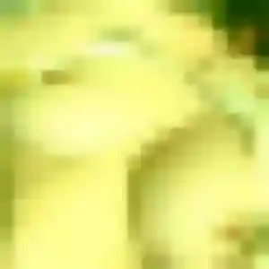 Découvre Ava, 35 ans à Chirens en t'inscrivant